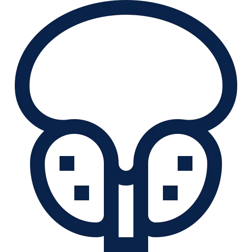 Prostate Cancer